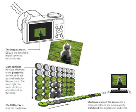 CCD, digitalni optiki senzor, konvertuje sliku u elektronske signale koji se prevode u digitalne